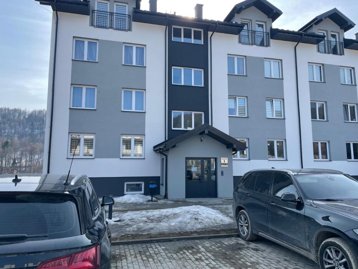 Apartament Modern Ustrzyki Dolne Εξωτερικό φωτογραφία